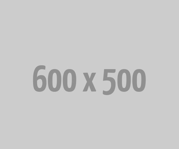 600 x 500